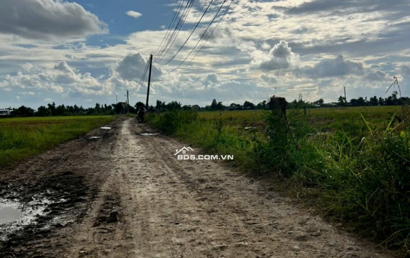 Vị trí đẹp bán kính 500m đầy đủ tiện nghi