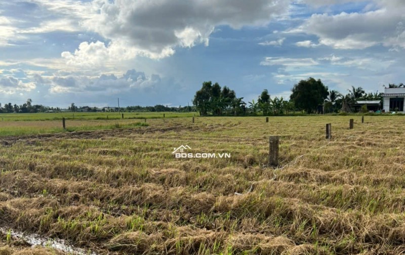 Vị trí đẹp bán kính 500m đầy đủ tiện nghi