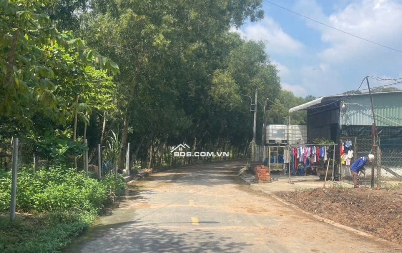 BÁN ĐẤT TẠI HOÀ LỢI 110M2 SỔ SẴN GIÁ 1.450.000.000. LH:0399935999.