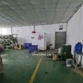 Cho thuê kho xưởng 1700m2 Thạnh Lộc Quận 12