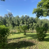 BÁN NHÀ MẶT TIỀN VIEW SÔNG KDC TÂN PHONG QUẬN 7 – SIÊU PHẨM KINH DOANH, 5 TẦNG ĐÚC BTCT