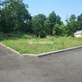 Bán gấp đất tại Xuân Khanh, Sơn tây 110m2 MT 7m, giá rẻ mua ngay có lãi liền tay.