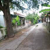  ĐẤT ĐẸP THỔ CƯ - GIÁ MỚI CHỈ 21.8 TỶ  842m² (18.3×46m) – Hẻm xe hơi, khu ấp Tiền Lân, Bà Điểm, Hóc Môn – giáp Q12, Bình Tân