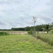 Kẹt Tiền Xây Nhà Chính Chủ Bán Gấp 160m2 Đất Tại Ấp Tua Hai, Huyện Châu Thành, Tỉnh Tây Ninh