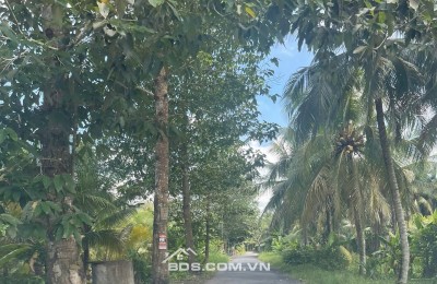 ĐẤT VƯỜN DỪA 1500 M2 ĐANG THU HOẠCH (CÓ 200 M2 THỎ CƯ), LỘ  NHỰA 5 TẤN