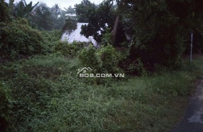 Chính Chủ Cần Bán 2000m2 Đất Vườn Tại 454, xã Tiên Long, Huyện Châu Thành, Bến Tre