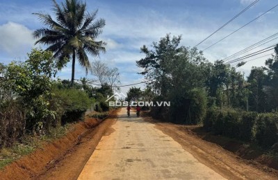 Cần Bán 500m2, Thổ Cư 120m2 Tại Xã Dur Kmăl, Huyện Krông Ana, Tỉnh Đắk Lắk.