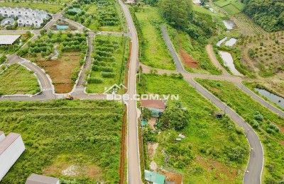 Bán 2 lô mặt tiền liền kề đẹp đất nền khu nghỉ dưỡng P2 Bảo Lộc, cách ngã 5 Đambri 6 phút đi xe