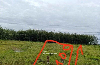 Chính Chủ Bán 1043,1m2 Đất Mặt Tiền Đường Trung Tâm Cụm Xã Nhựa Tại Hoà Hiệp, Tân Biên
