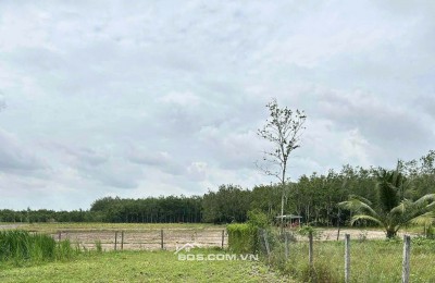 Kẹt Tiền Xây Nhà Chính Chủ Bán Gấp 160m2 Đất Tại Ấp Tua Hai, Huyện Châu Thành, Tỉnh Tây Ninh