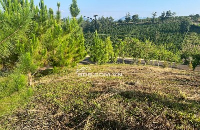 Đất dự án La Nature Bảo Lộc - Lô mặt tiền full thổ cư giá chỉ 11.3 triệu/m²