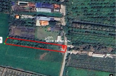 Chính chủ bán đất 1030m2 giá 7,2 tỷ, tp. Tân An, Long An