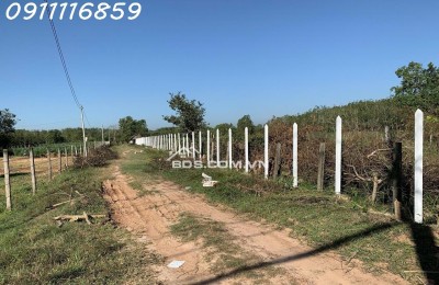 Cần bán 1.8ha Đất MT Nguyễn Thị Rành Củ Chi 79 tỷ.