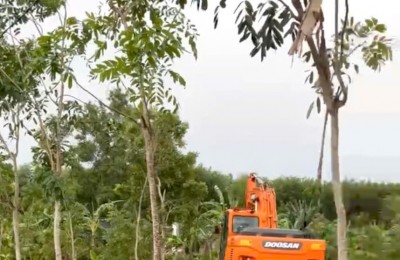 2sao8 đường nhựa,thích hợp đầu tư làm vườn, giá 680tr/sào