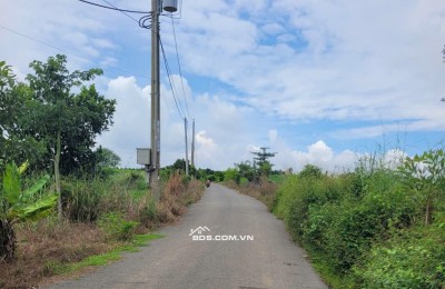 1 sào có 80m thổ cư, đường nhựa, vị trí thoáng mát, thích hợp đầu tư làm vườn