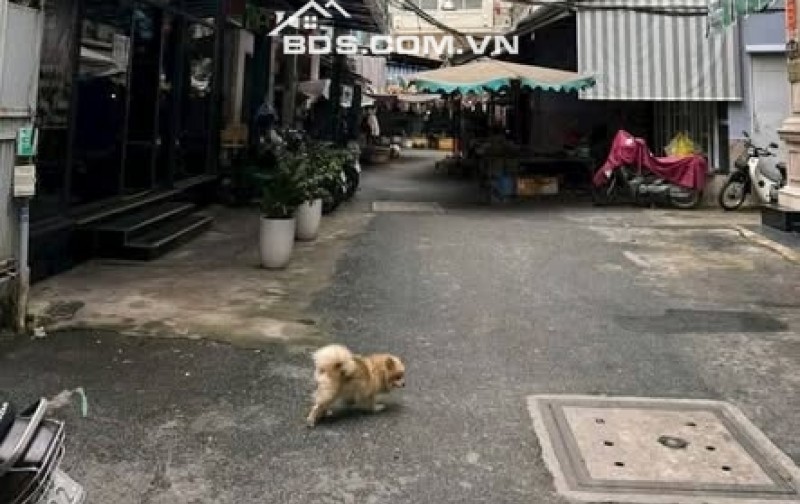 Cho thuê nhà Lê Văn Sỹ Quận 3, 4 tầng HXH giá 15tr/tháng