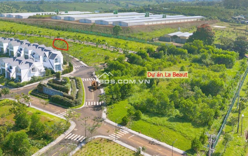 Rời xa khói bụi, về với thiên nhiên – Sở hữu đất biệt thự chuẩn nghỉ dưỡng Bảo Lộc chỉ 1,5 tỷ