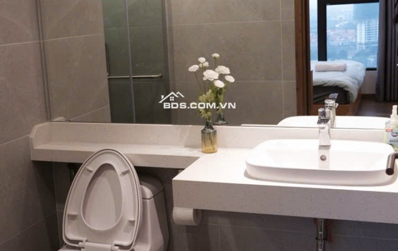 Chính chủ cho thuê dài hạn căn hộ diện tích 67m2, 2 ngủ 2 vệ sinh toà S2- Sky Oasis, Ecopark