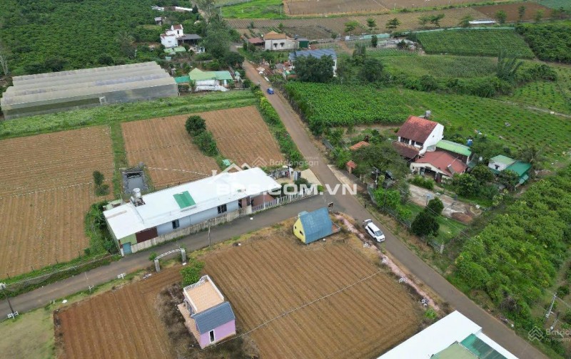 Bán Đất Phường 2 Bảo Lộc, Vị Trí Đón Đầu Cao Tốc - 980 Triệu