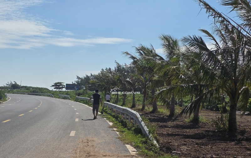 Chính chủ e cần bán gần 700m đất gần khu du lịch nhà thờ đổ nam định