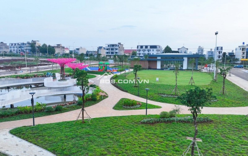 Tuyệt phẩm hiếm tại Dầu Giây – Sản phẩm giới hạn, giá trị bền vững