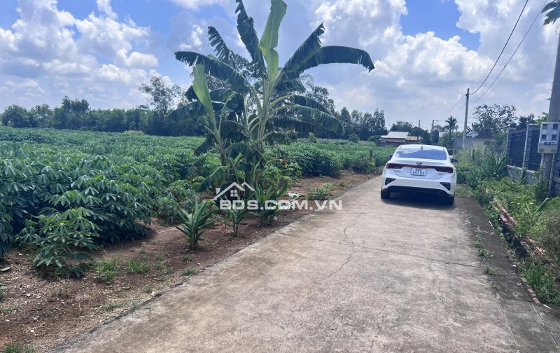 Đất ngộp Bàu Cạn - chính chủ rõ ràng