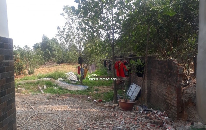 CHÍNH CHỦ CHO THUÊ ĐẤT TRỐNG 600M2 LÀM KHO BÃI XƯỞNG HAY CHĂN NUÔI CHÚC SƠN CHƯƠNG MỸ GIÁ 4TR/TH