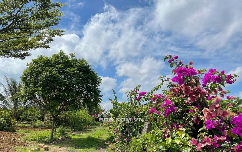 Chính Chủ Bán 4600m2, Đất Mặt Tiền Tại Thôn 6, Xã Ea Bar, Huyện Buôn Đôn, Tỉnh Đắk Lắk