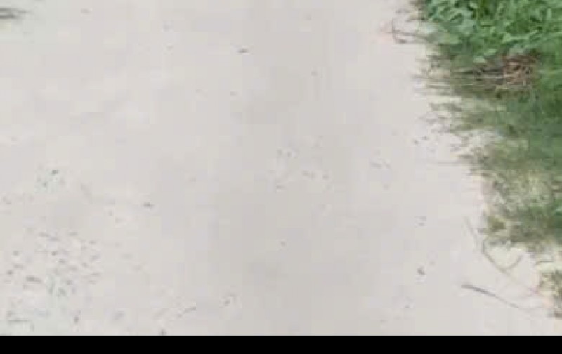 Bán lô đất trồng cây lâu năm (lên được thổ cư) Nhị Bình Hóc Môn