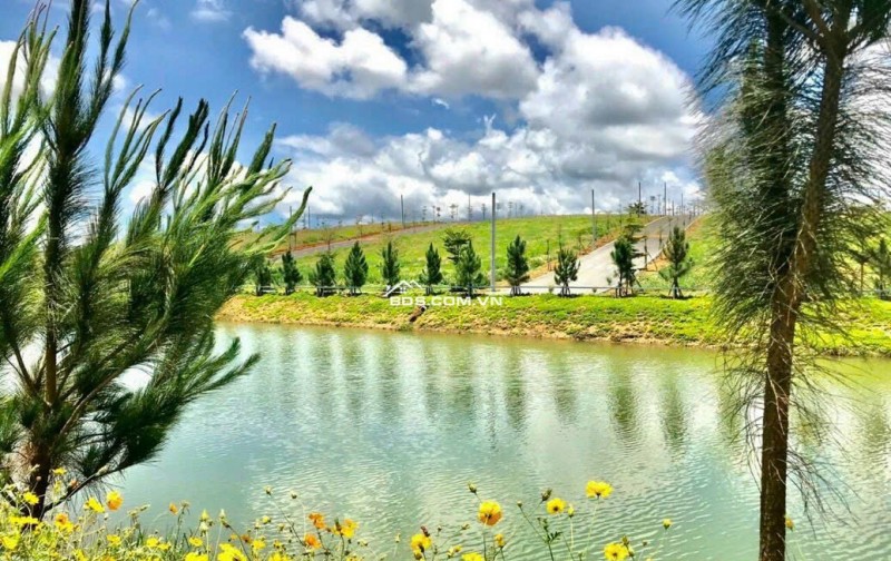 Chỉ 650tr Sở Hữu Đất Sát Resort Tâm Châu, Hưởng Tiện Ích Miễn Phí