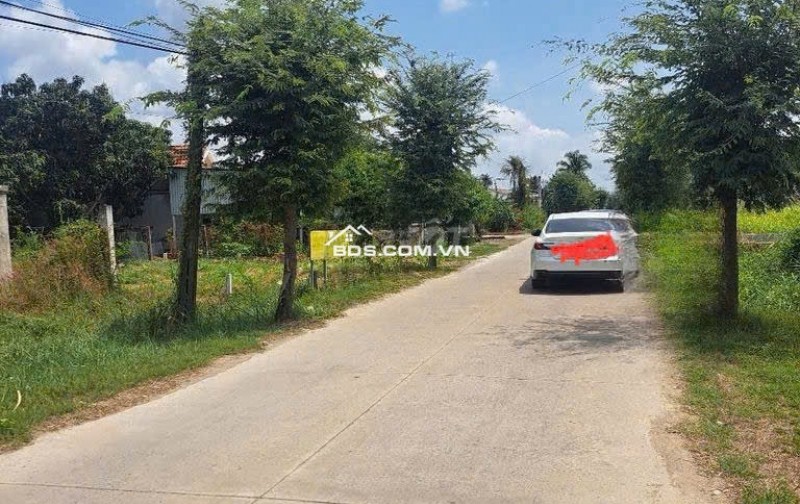 Chính Chủ Bán 500m2 Đất Thổ Cư Mặt Tiền Đường Lớn - Cạnh Dự Án Vinhomes Tại Thị trấn Cần Giuộc