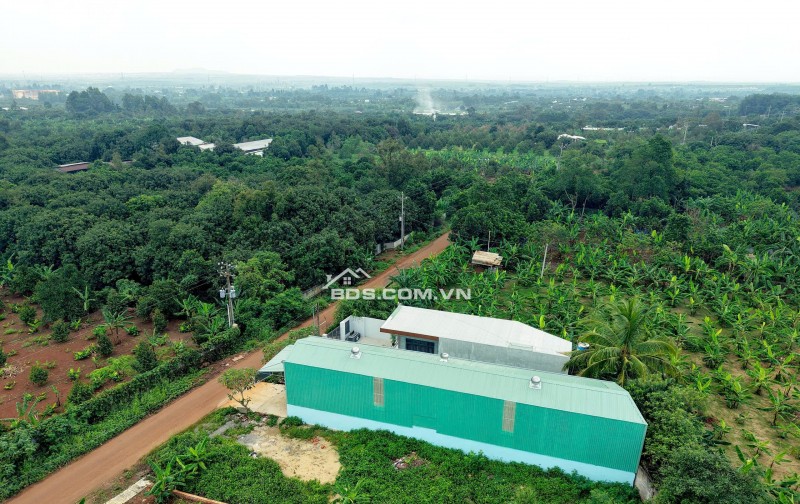 BÁN ĐẤT MẶT TIỀN NGUYỄN THẾ TOÀN – GIÁ TỐT, SỔ RIÊNG