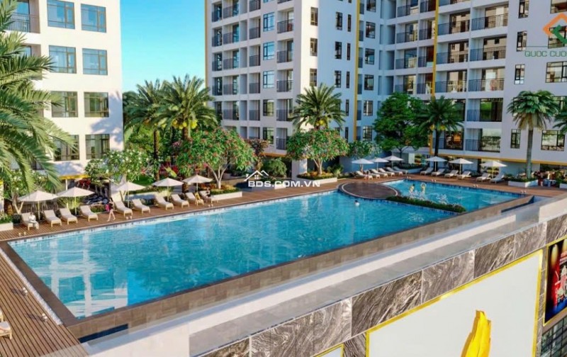 Bán căn hộ Q.8, Tạ Quang Bửu, 31m2, 1PN, SHR, 2 tỷ. LH: 0942239239