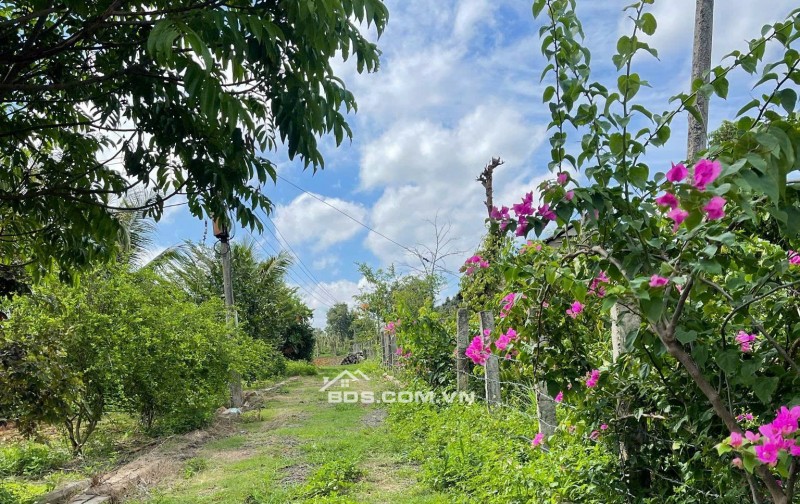 Chính Chủ Bán 4600m2, Đất Mặt Tiền Tại Thôn 6, Xã Ea Bar, Huyện Buôn Đôn, Tỉnh Đắk Lắk