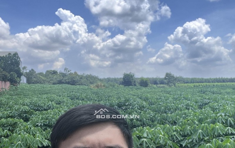 Đất ngộp Bàu Cạn - chính chủ rõ ràng