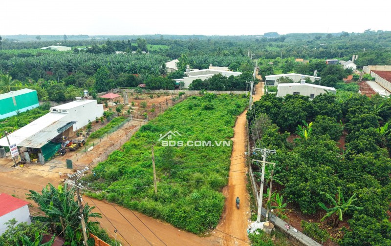 BÁN ĐẤT MẶT TIỀN NGUYỄN THẾ TOÀN – GIÁ TỐT, SỔ RIÊNG