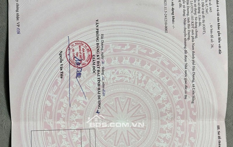 OT5C viện nhi Hải dương