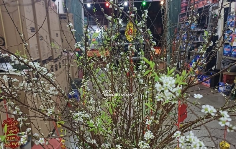 NHÀ CHÍNH CHỦ CẦN BÁN