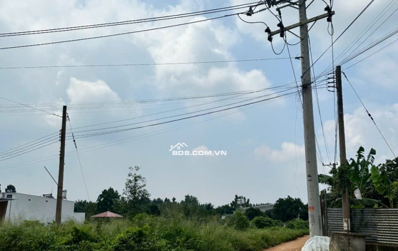 BÁN ĐẤT MẶT TIỀN NGUYỄN THẾ TOÀN – GIÁ TỐT, SỔ RIÊNG