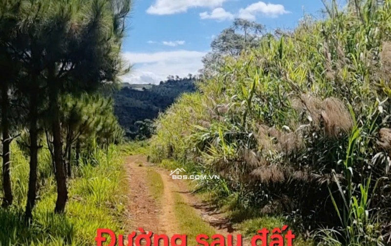  LÔ ĐẤT 540M² (200M² THỔ CƯ) – MẶT TIỀN HỒ NGỌC