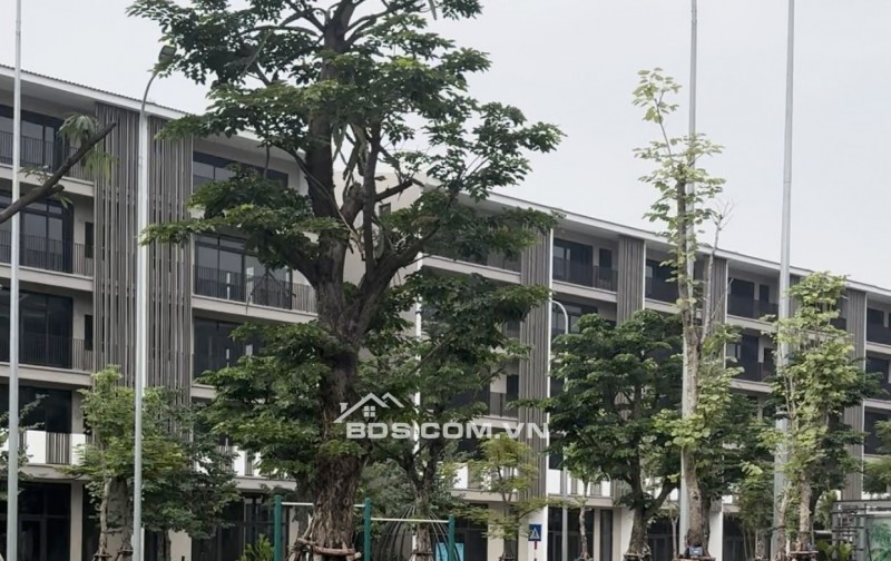 Biệt thự liền kề ven biển Hạ Long DT 120m2, MT 6m giá đang rất rẻ chỉ 18tỷ/căn.