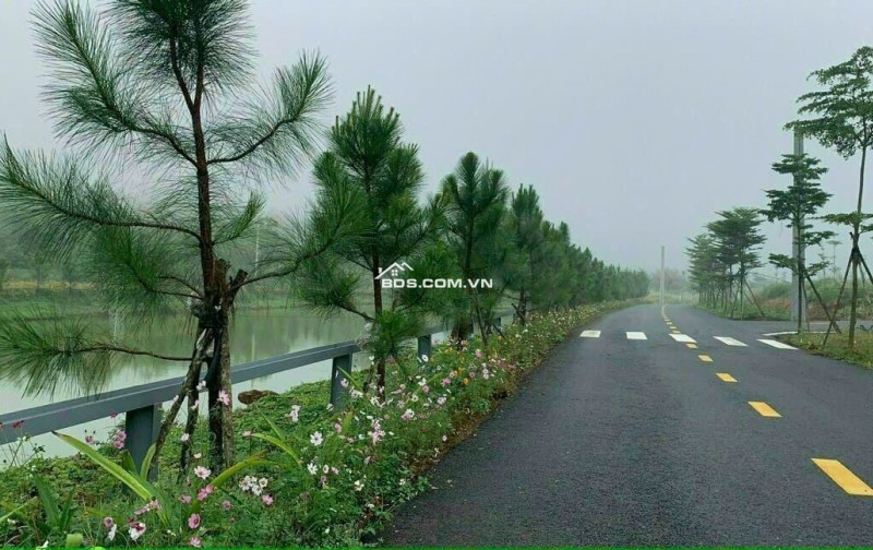 Bán Đất Nền Giá Tốt Kề Cận Quần Thể Nghỉ Dưỡng Tâm Châu