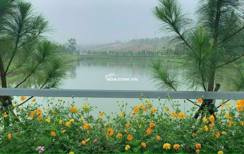 Bán Đất Kề Resort Tâm Châu, 5 Phút Ra Chợ Ngã 5 Dambri