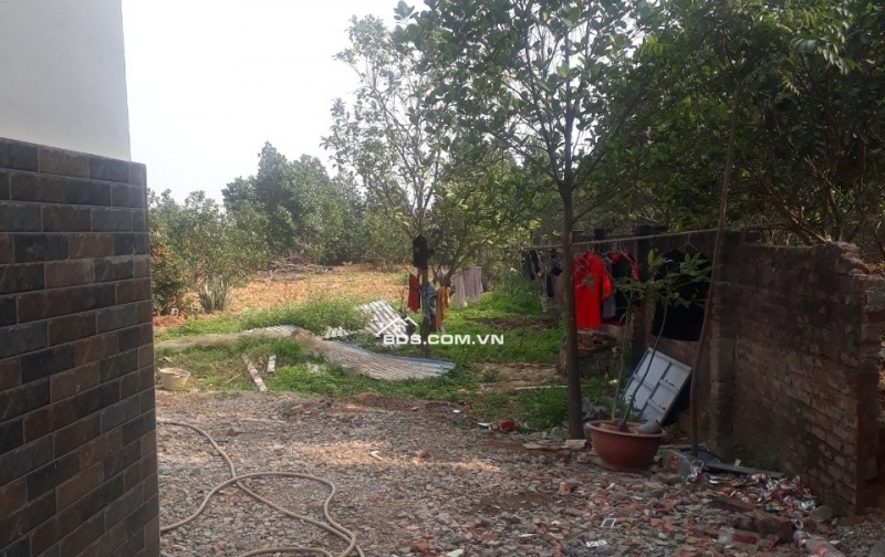 CHÍNH CHỦ CHO THUÊ ĐẤT TRỐNG 600M2 LÀM KHO BÃI XƯỞNG HAY CHĂN NUÔI CHÚC SƠN CHƯƠNG MỸ GIÁ 4TR/TH