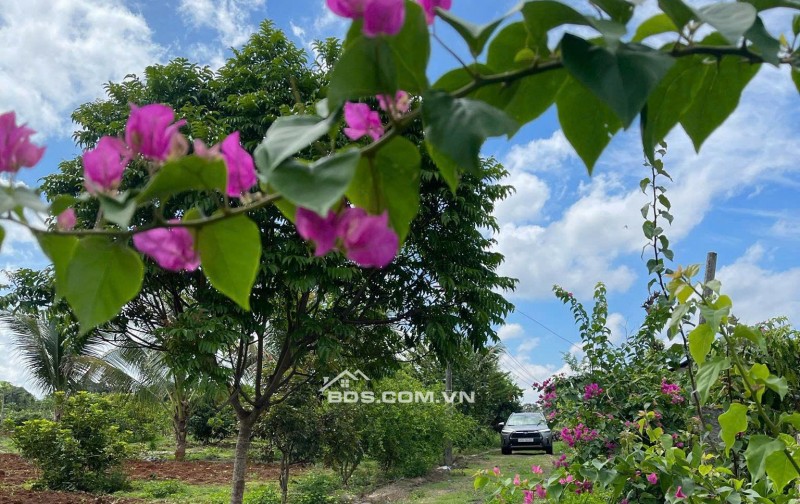 Chính Chủ Bán 4600m2, Đất Mặt Tiền Tại Thôn 6, Xã Ea Bar, Huyện Buôn Đôn, Tỉnh Đắk Lắk