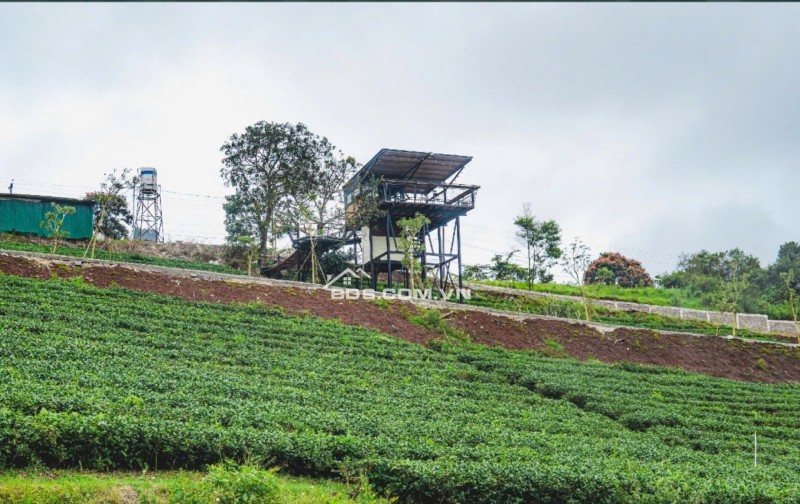  LÔ ĐẤT 102M² FULL THỔ CƯ – KHU TRUNG TÂM BẢO LỘC