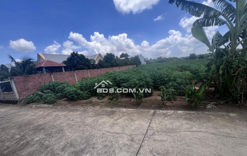 Đất ngộp Bàu Cạn - chính chủ rõ ràng