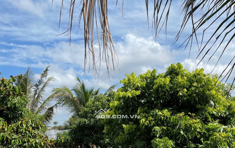 Chính Chủ Bán 4600m2, Đất Mặt Tiền Tại Thôn 6, Xã Ea Bar, Huyện Buôn Đôn, Tỉnh Đắk Lắk