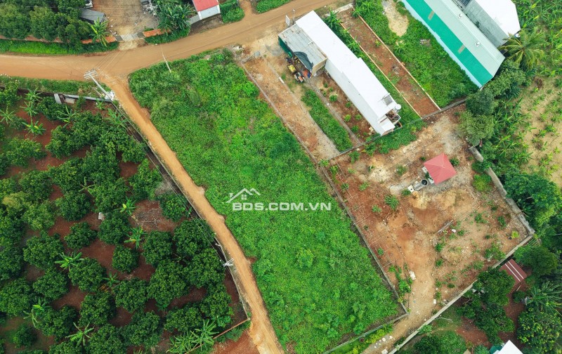 BÁN ĐẤT MẶT TIỀN NGUYỄN THẾ TOÀN – GIÁ TỐT, SỔ RIÊNG