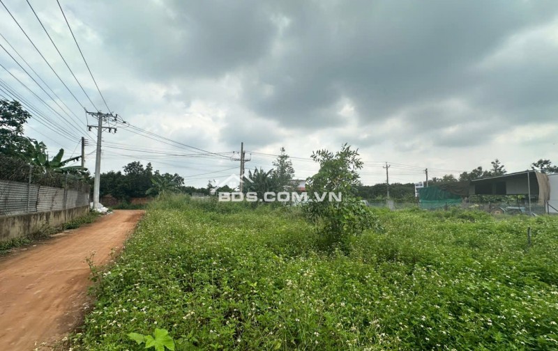 BÁN ĐẤT MẶT TIỀN NGUYỄN THẾ TOÀN – GIÁ TỐT, SỔ RIÊNG